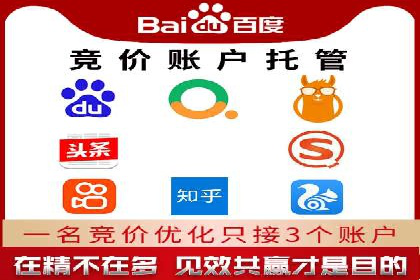 行业领先企业的SEM广告策略与效果分析